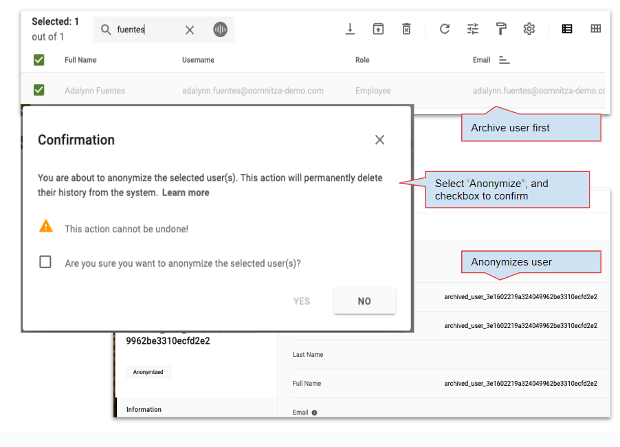 Image of windows displayed during anonymization process